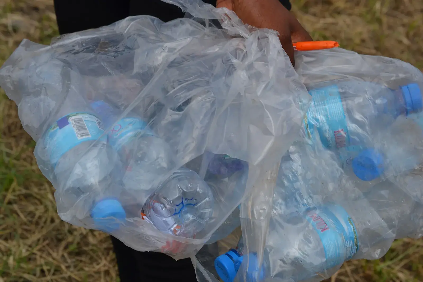 Transparent plastic film bags