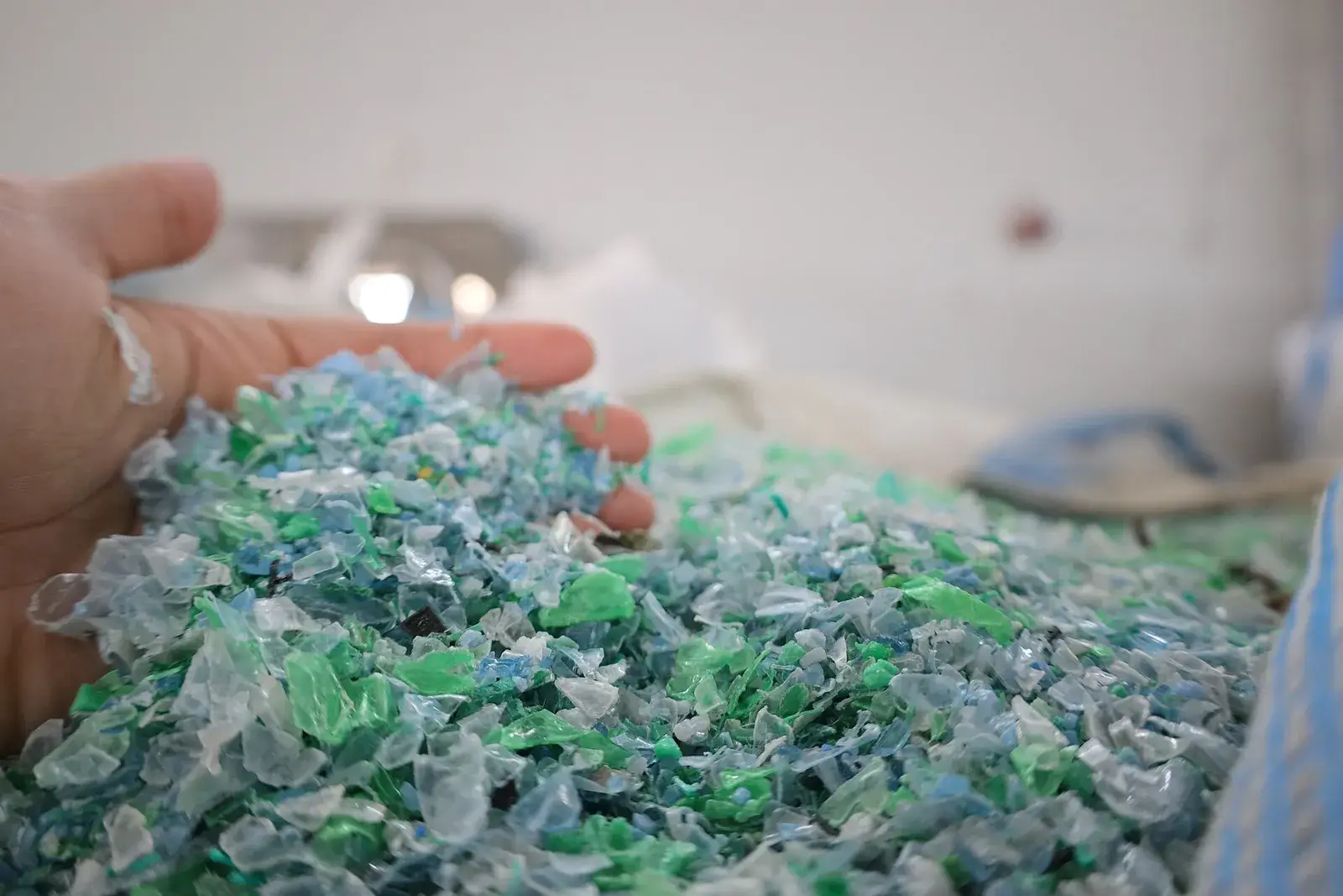 Handful of clear and green PET bottle flakes