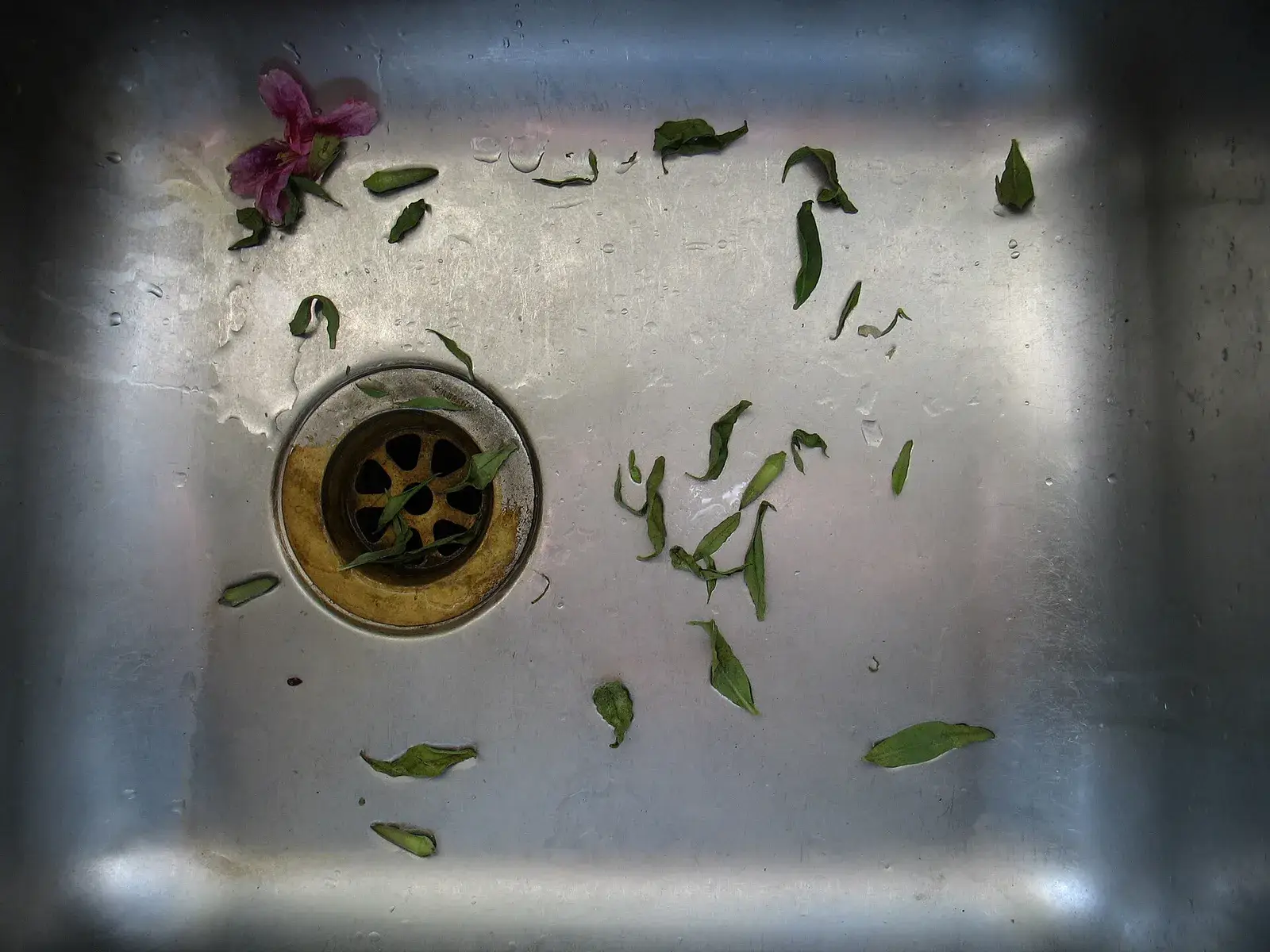 Stainless steel kitchen sink