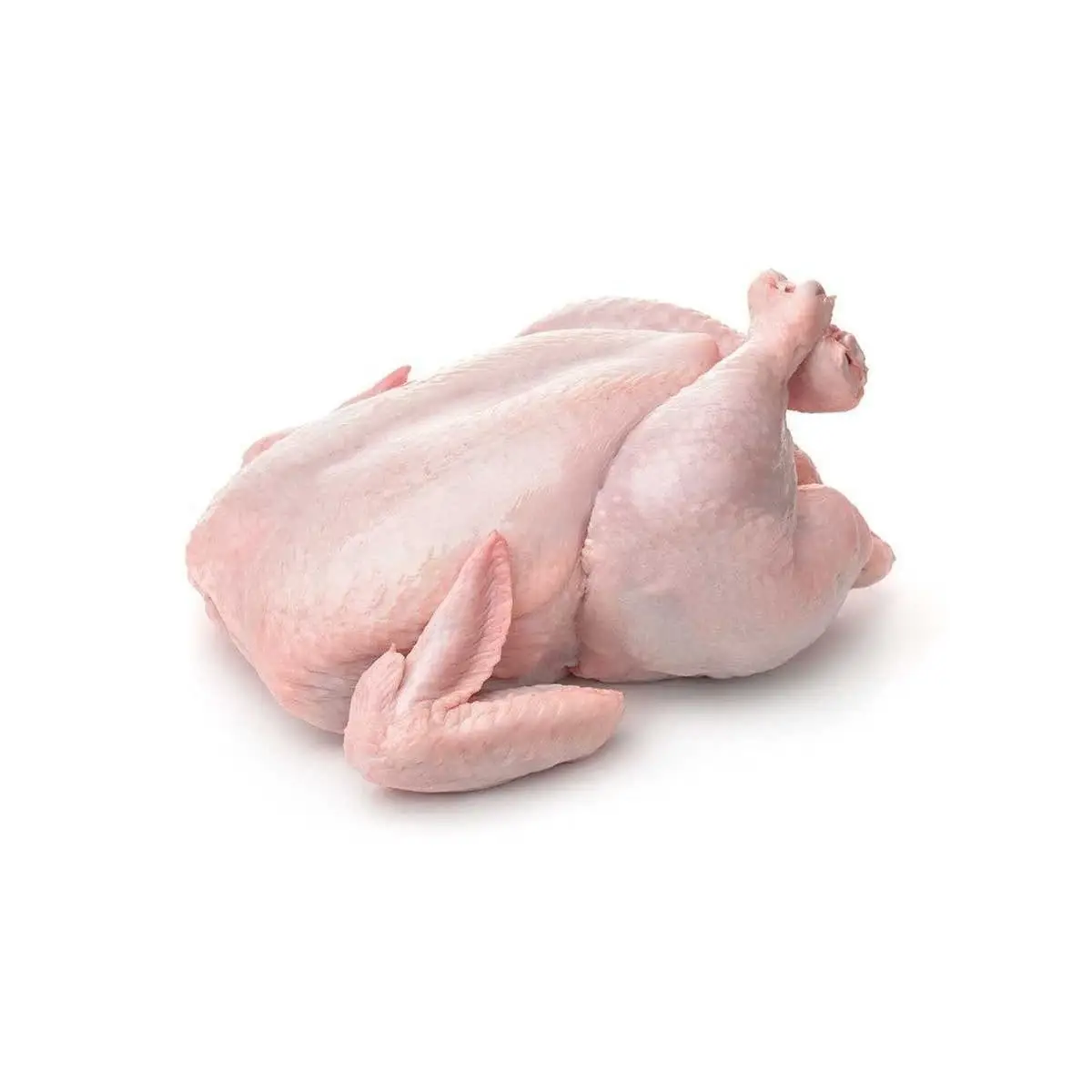 Whole raw frozen chicken on a white background
